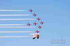 超級(jí)巧合的60張照片 看了一遍又一遍（一）