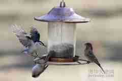 超級(jí)巧合的60張照片 看了一遍又一遍（三）