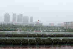 大一新生開始軍訓啦，但是學長學姐們不開心