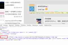 給WordPress緩存在本地的gravatar頭像增加Alt屬性