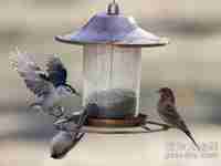 超级巧合的60张照片 看了一遍又一遍（三）