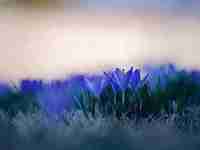 2015毛概期末考试重点勾画部分整理