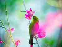 计算机系团学会竞选空间点赞排名榜