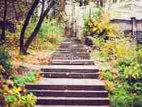 计算机软件技术