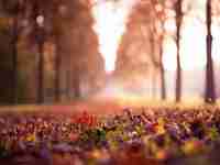 【转】沙画抒情–在成都航院民用航空服务系的日子里